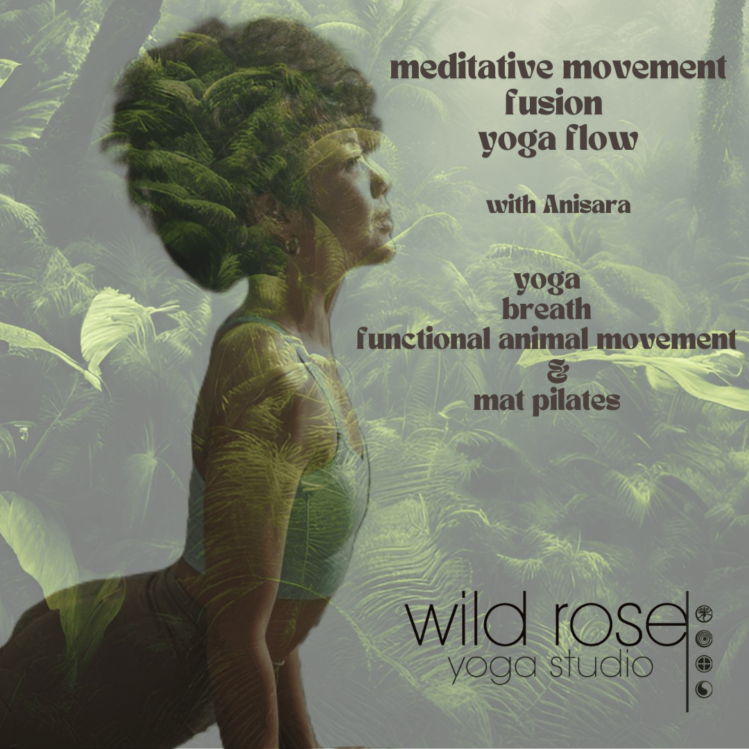 Meditative Movement Yoga Flow : Functional Movement, Breath, Animal Movement, Mat Pilates and Yoga.